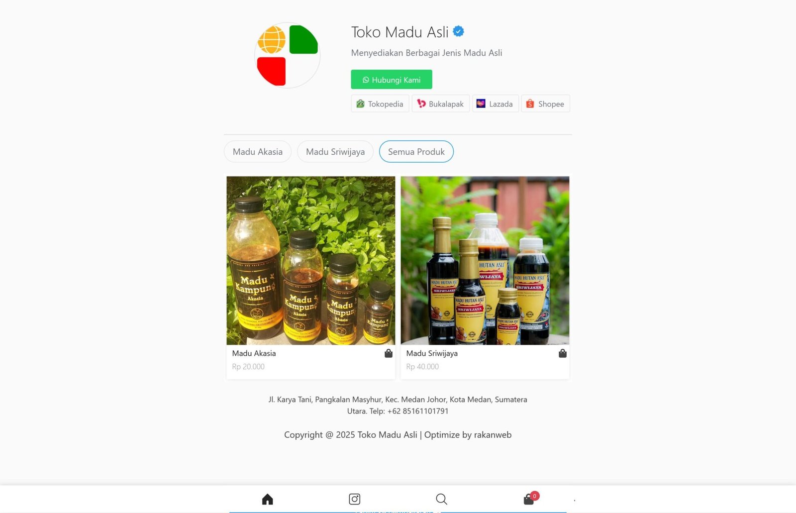 web toko-online UMKM gaya IG store